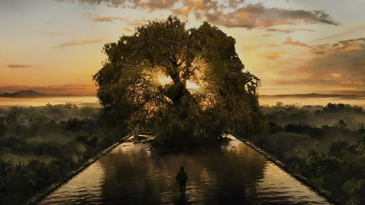 a man standing in the middle of a body of water under a tree at sunset