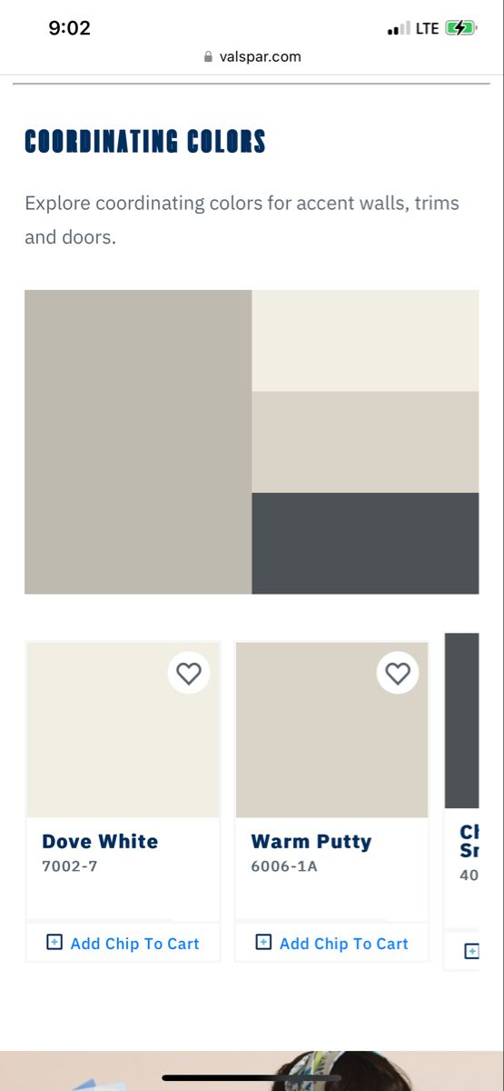 the color scheme for this website is white and gray