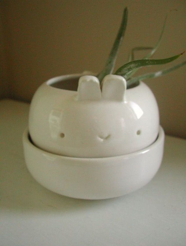 a white ceramic planter with an air plant in it's mouth and lid