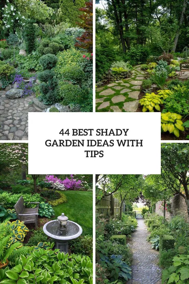 four different pictures with the words 4 best shady garden ideas with tips