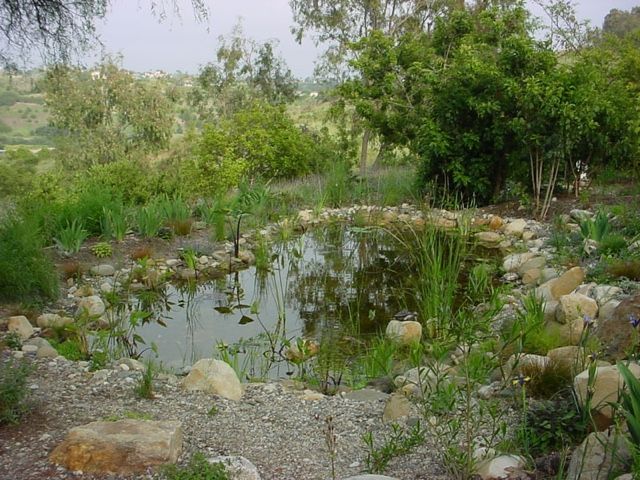 a pond surrounded by rocks and plants in the middle of a field with lots of trees