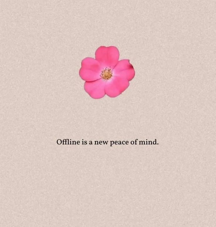 a pink flower with the words'offline is a new peace of mind '