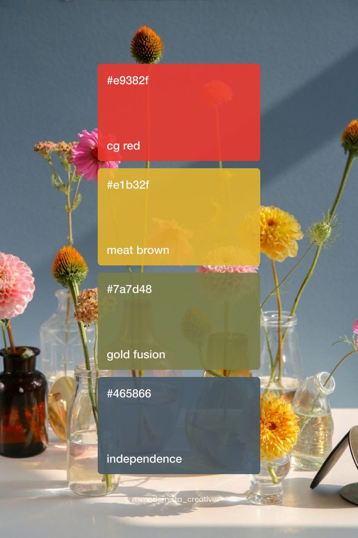 2024 Organic spring flower color palette inspiration | Branding design Organic Color Palette Colour Schemes, Flower Color Palette, Color Coding Notes, Va Business, Innovative Logo, Color Palette Inspiration, Landscape Design Drawings, Pastel Design, Pantone Colour Palettes