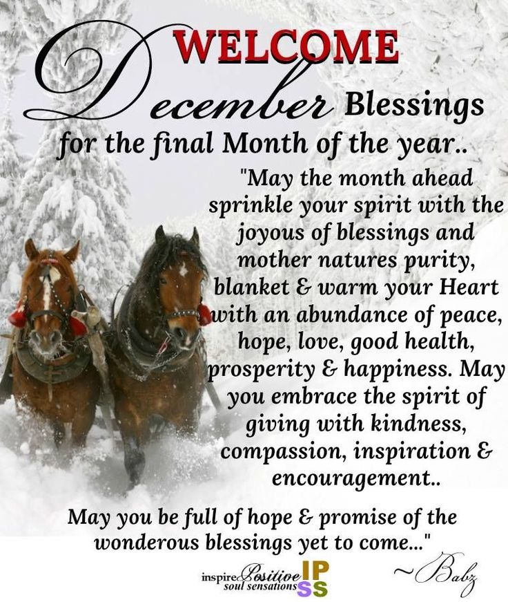 two horses are walking in the snow with a poem written on it that says welcome december