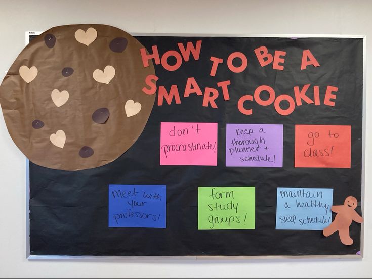 a bulletin board that says how to be a smart cookie on the wall next to a teddy bear