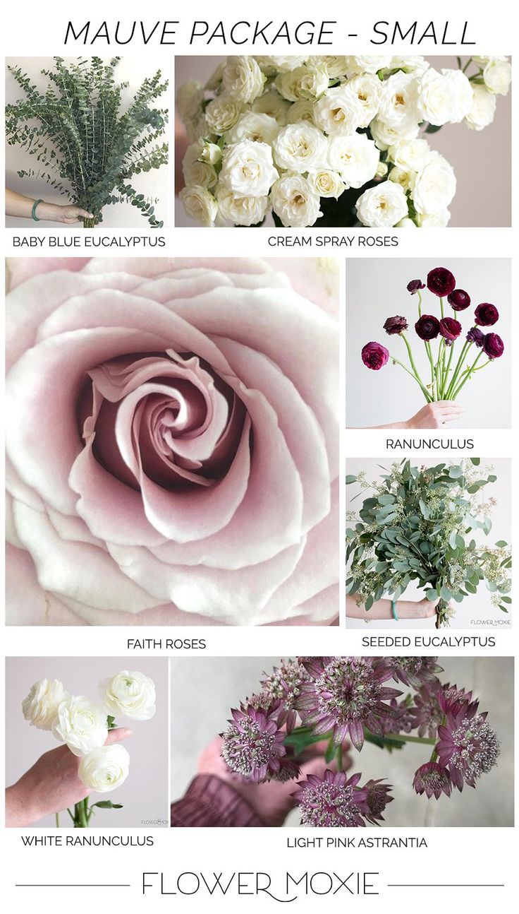 many different types of flowers and their names