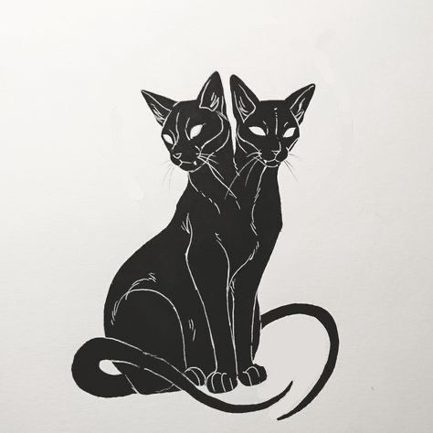 two black cats sitting next to each other