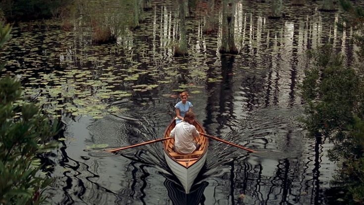 two people in a row boat on a body of water surrounded by trees and plants