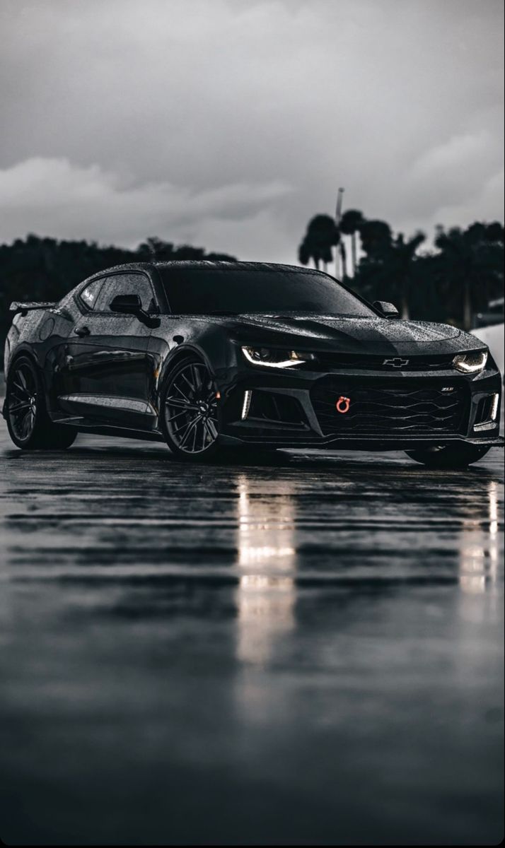 two black sports cars are parked on the wet pavement in front of palm trees and dark clouds