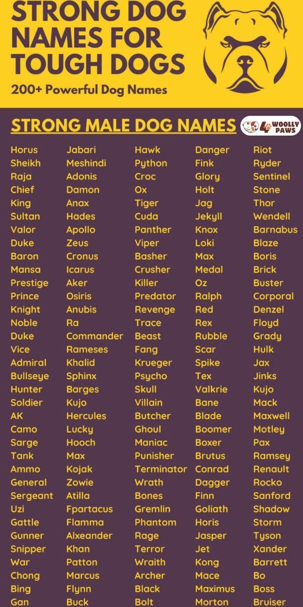 the strong dog names for tough dogs are shown in purple and yellow, with an image of