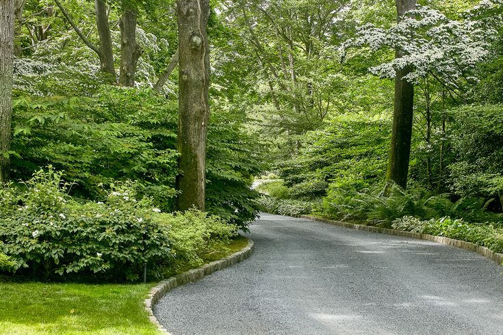 a paved road surrounded by lush green trees