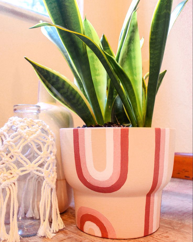 a potted plant sitting on top of a wooden table