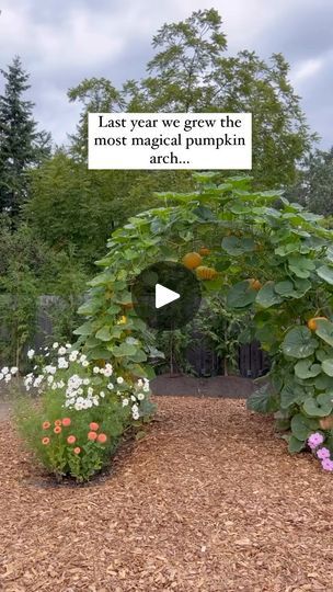 an arch made out of leaves and flowers in the middle of a garden with a quote on it