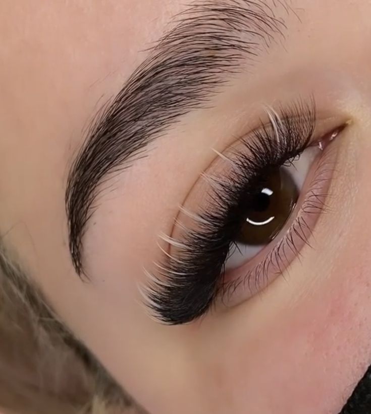 Color Eyelash Extensions, Color Eyelashes, Lash Mapping, Lashes Fake Eyelashes, Lash Extensions Styles, Lash Sets, Perfect Eyelashes, House Of Lashes, Cat Eye Makeup