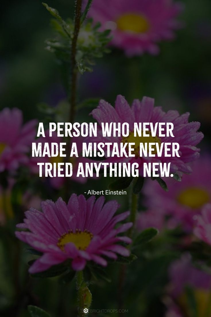 pink flowers with the quote a person who never made a mistake never tried anything new