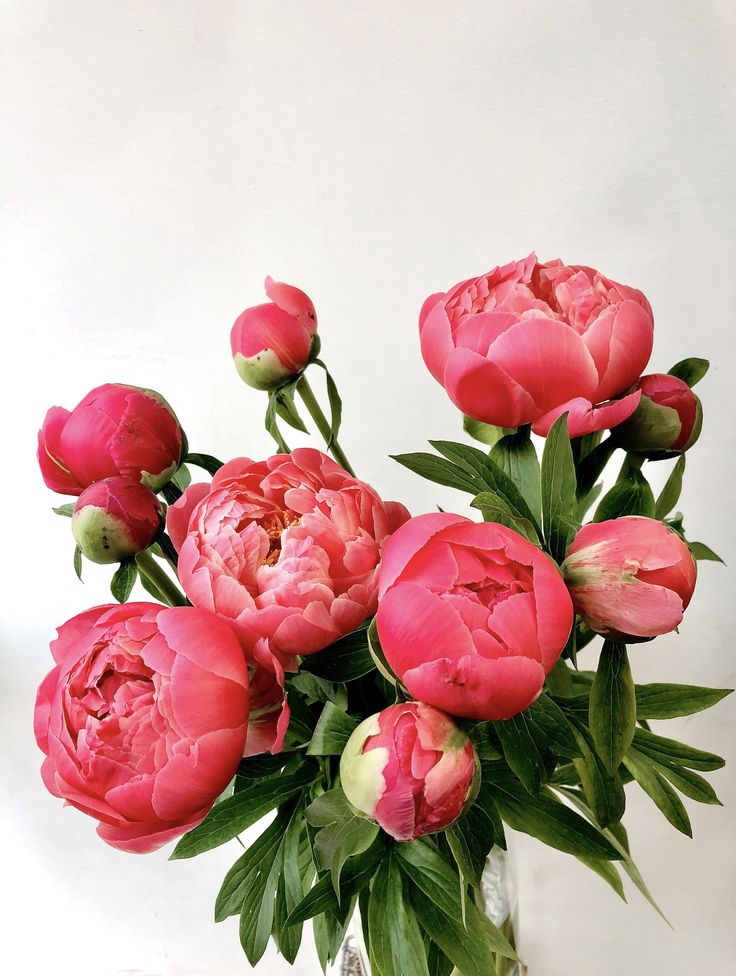 a vase filled with pink flowers sitting on top of a table next to a white wall