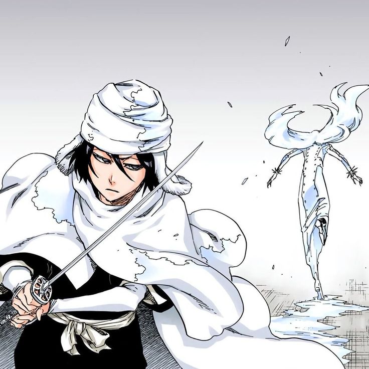 Rukia Bankai, Rukia Bleach, Bleach Rukia, Byakuya Kuchiki, Toshiro Hitsugaya, Kuchiki Rukia, Bleach Anime Art, Anime Bleach, Bleach Art