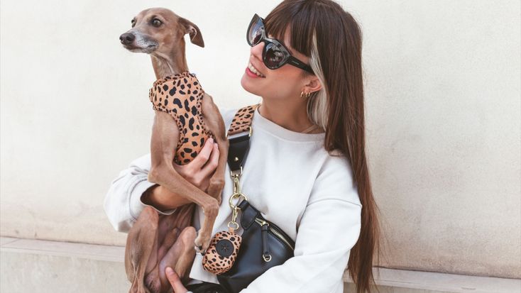 Bijouandco || Sleek Dog Accessories