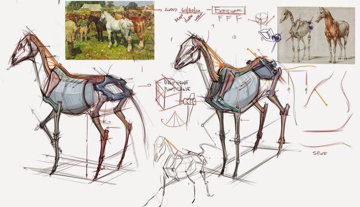 some drawings of horses standing next to each other