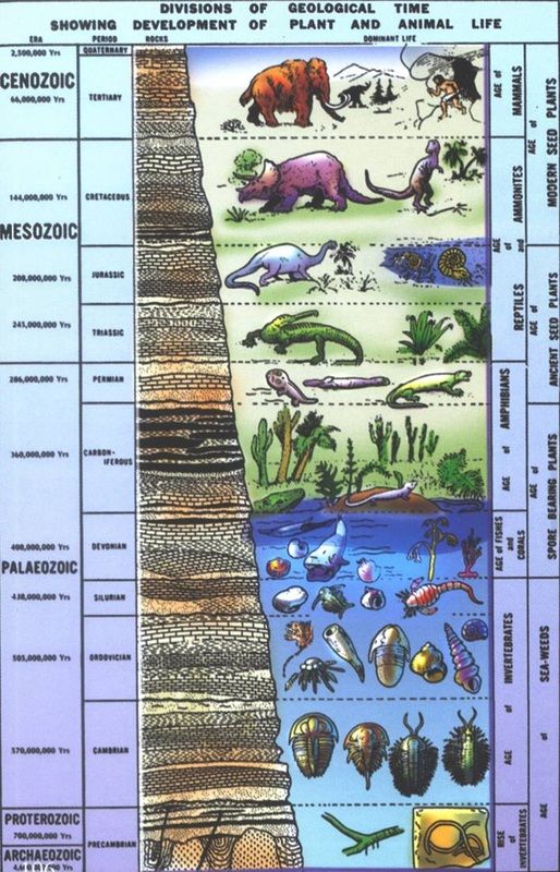 a diagram of the layers of earth with animals and other things in each layer, including water