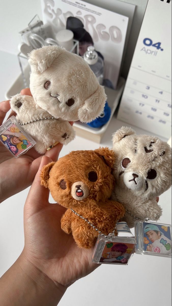 three small teddy bears are being held in front of a desk with other stuffed animals