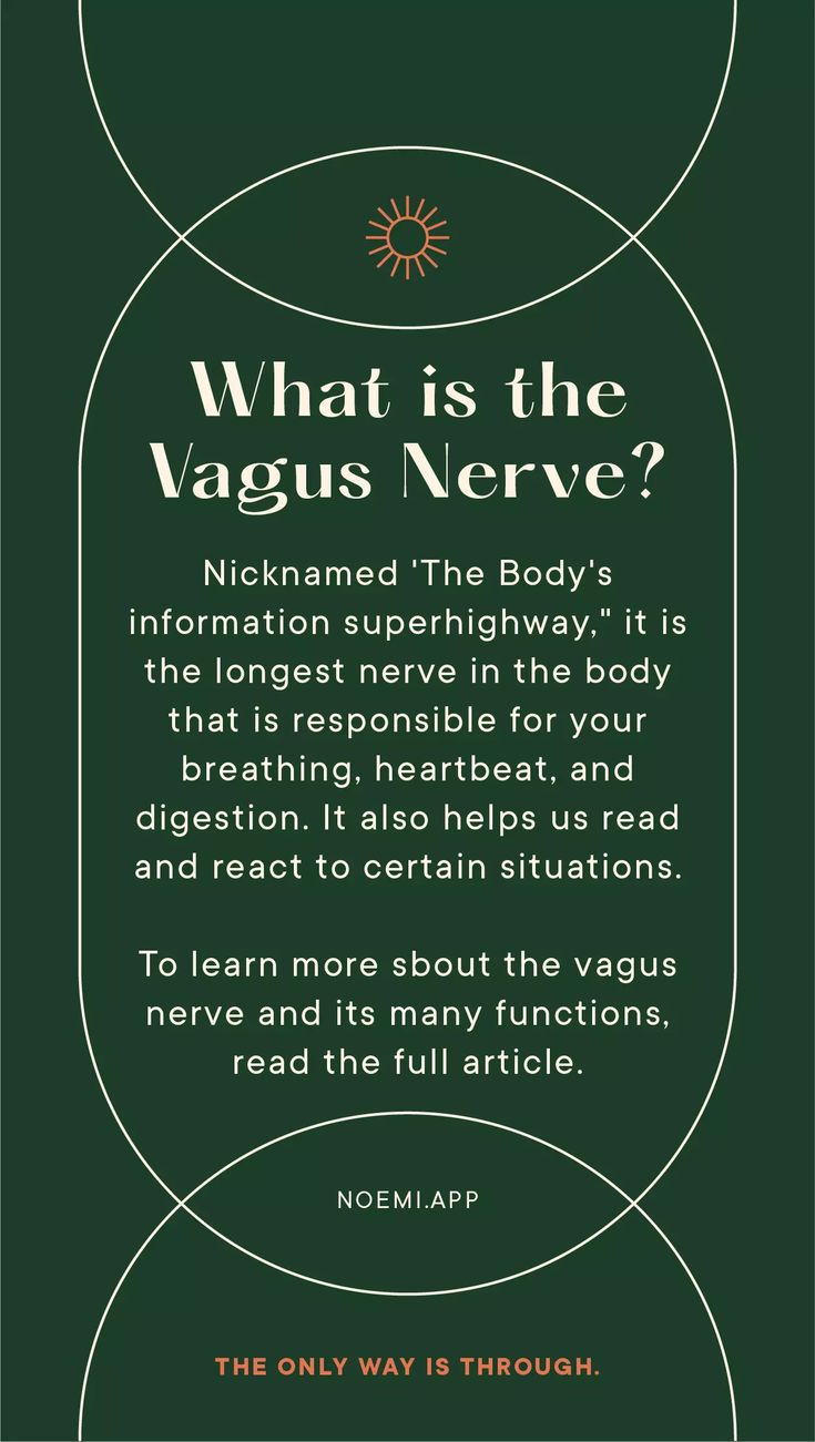 What is the Vagus Nerve? Nicknamed 'The Body's information superhighway," it is the longest nerve in the body that is responsible for your breathing, heartbeat, and digestion. It also helps us read and react to certain situations. To learn more sbout the vagus nerve and its many functions, read the full article. Stress Response, Vagus Nerve, Cortisol, Gut Feeling, Gut Health, Chronic Stress, Health Coach Vaso Vagal Response, Vagus Nerve Symptoms, Vagus Nerve Healing, Vagus Nerve Damage, Vagal Nerve, Histamine Intolerance Symptoms, Vagus Nerve Stimulator, Yin Poses, Polyvagal Theory