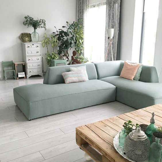 a living room filled with furniture and lots of plants on the windows sills