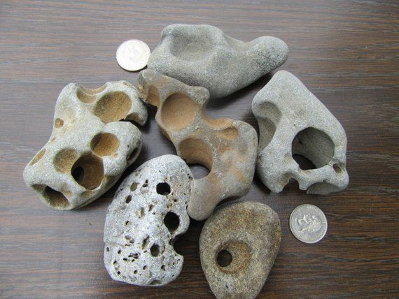 some rocks are sitting on a table next to a coin