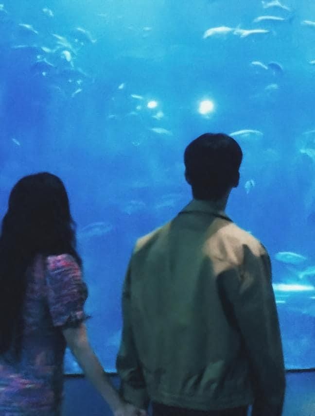 two people standing in front of an aquarium looking at fish