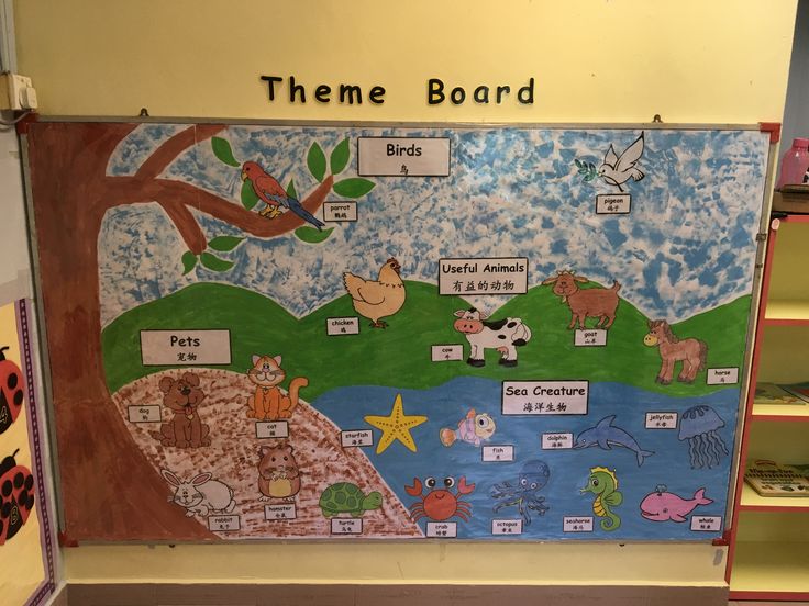 there is a bulletin board with animals on it in the library area, and other bookshelves