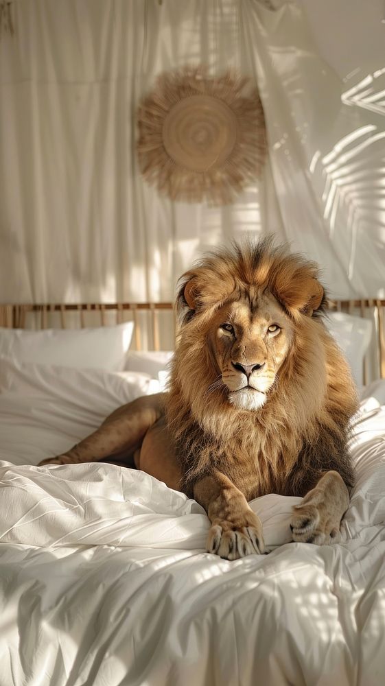 a large lion laying on top of a white bed