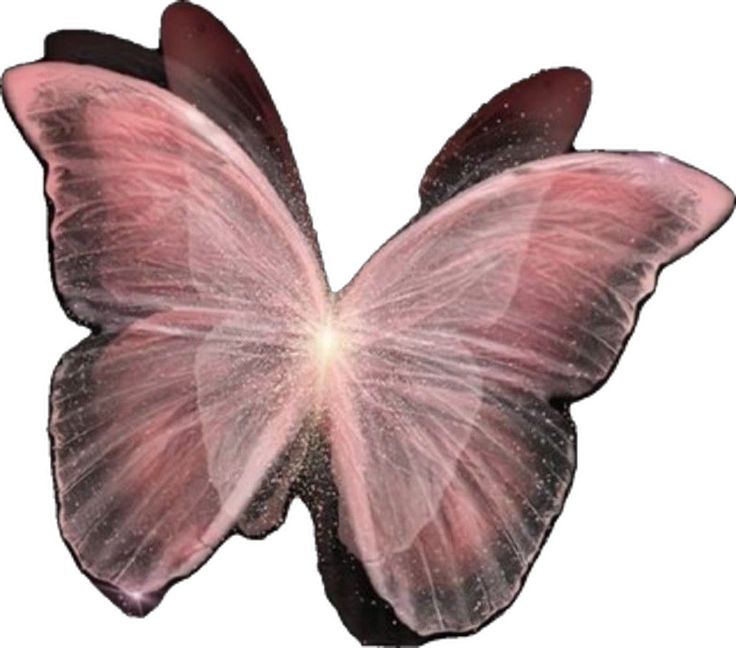 a pink and black butterfly flying through the air