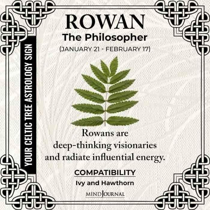 rowan the philospher poster with an image of a green leaf on it's side