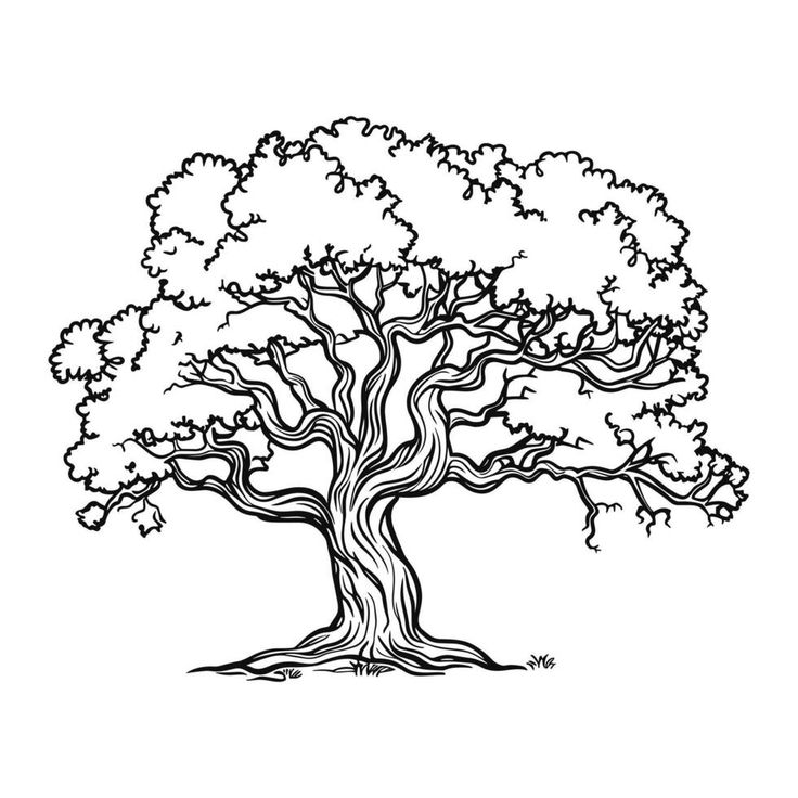 a black and white drawing of a tree