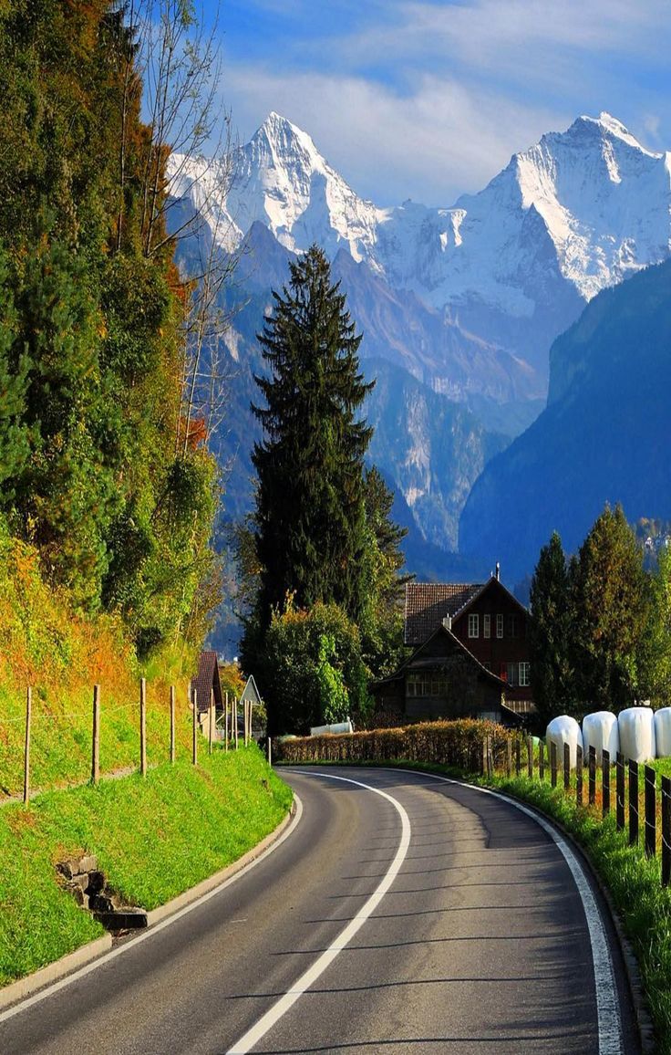 a road with mountains in the background and trees on both sides, surrounded by green grass