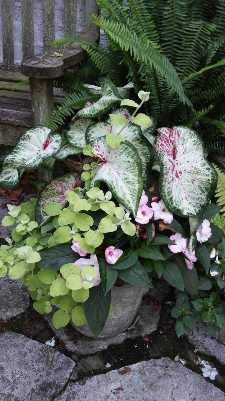 a potted plant with pink and white flowers sitting on top of rocks next to a wooden bench