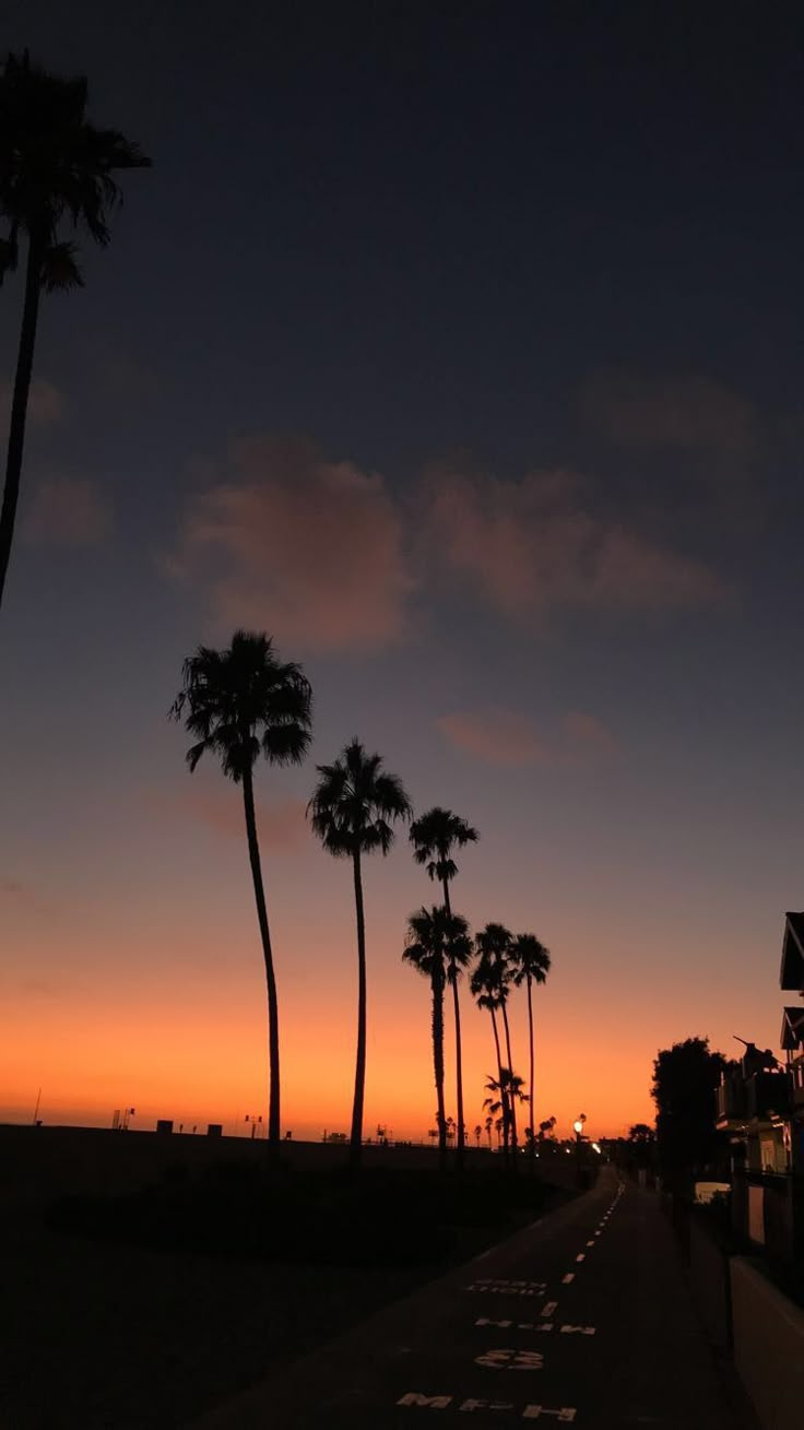 palm trees are silhouetted against the evening sky on a beachfront road in california