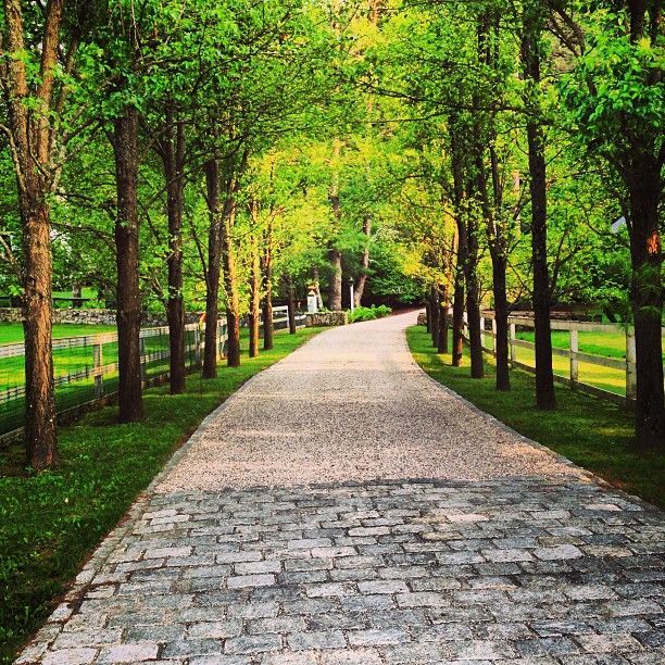 a paved road surrounded by green trees and fenced in area with stone walkways