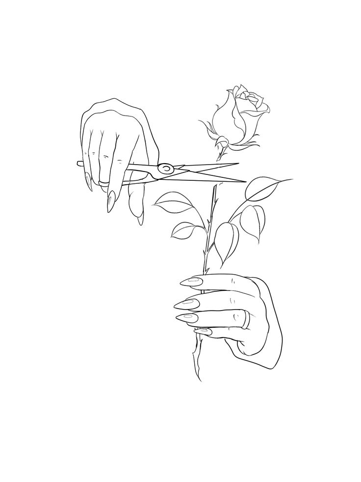 a drawing of someone cutting a rose with scissors