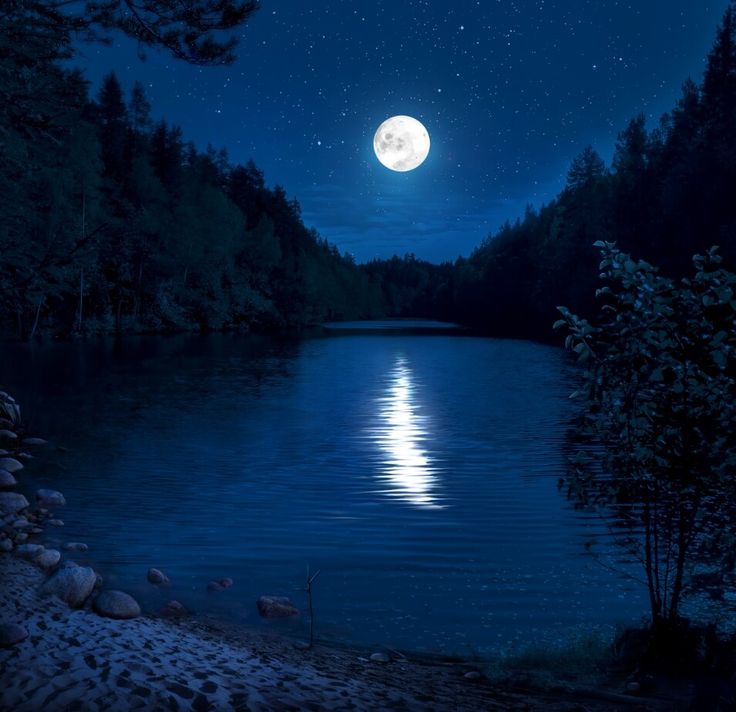 a full moon is seen over a lake in the night sky with trees and rocks