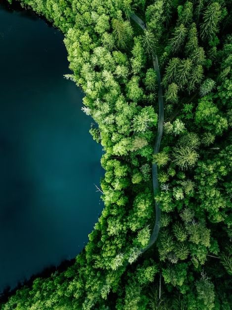 an aerial view of a lake surrounded by trees