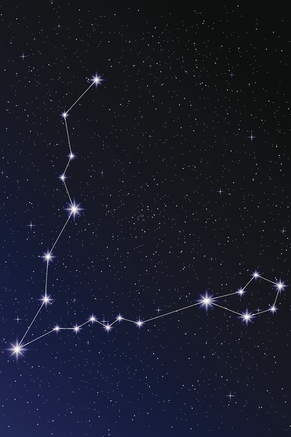 the star in the night sky has many stars