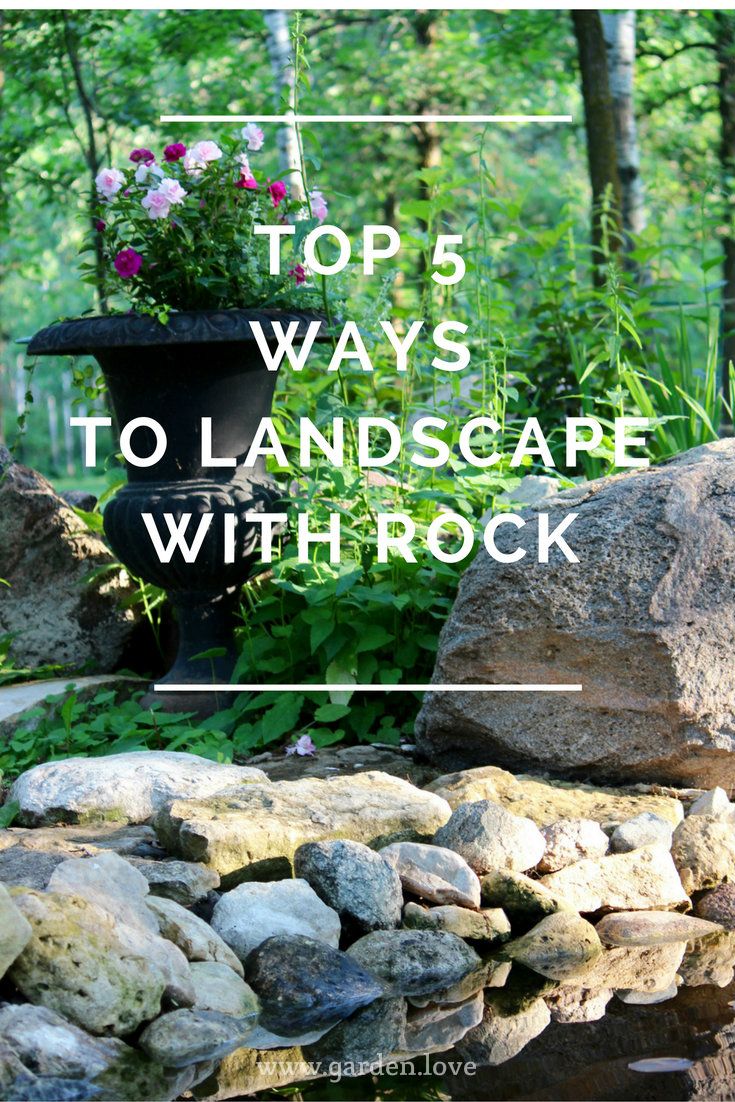 the top 5 ways to landscape with rock in front of a pond and flowers on rocks