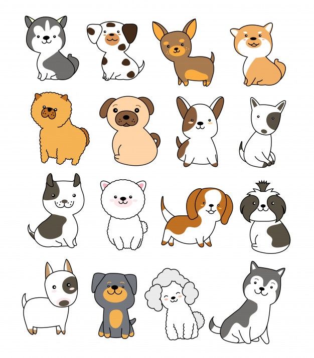 a bunch of dogs that are all different colors and sizes, with one dog in the middle