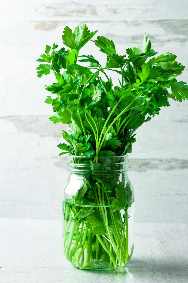 a glass jar filled with green leaves on top of a table