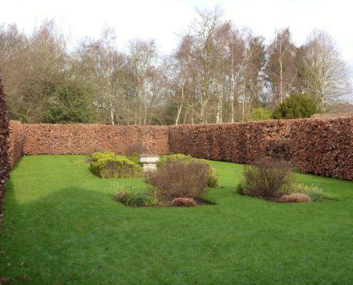 a garden with grass and bushes in the middle