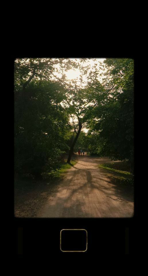 the sun is shining through the trees on this dirt road