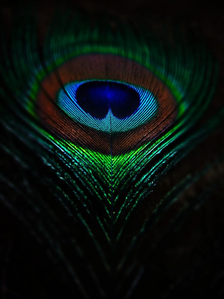 a close up view of the eye of a peacock's feather with its bright blue and green feathers