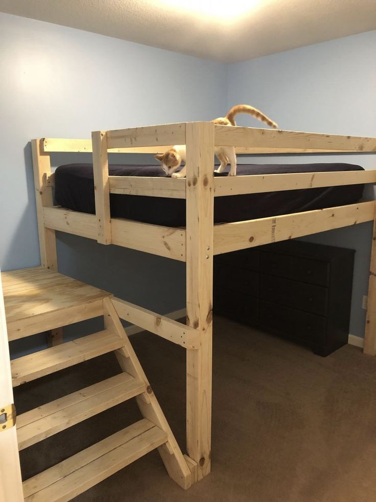 a bunk bed with stairs leading up to it and a cat sleeping on the top