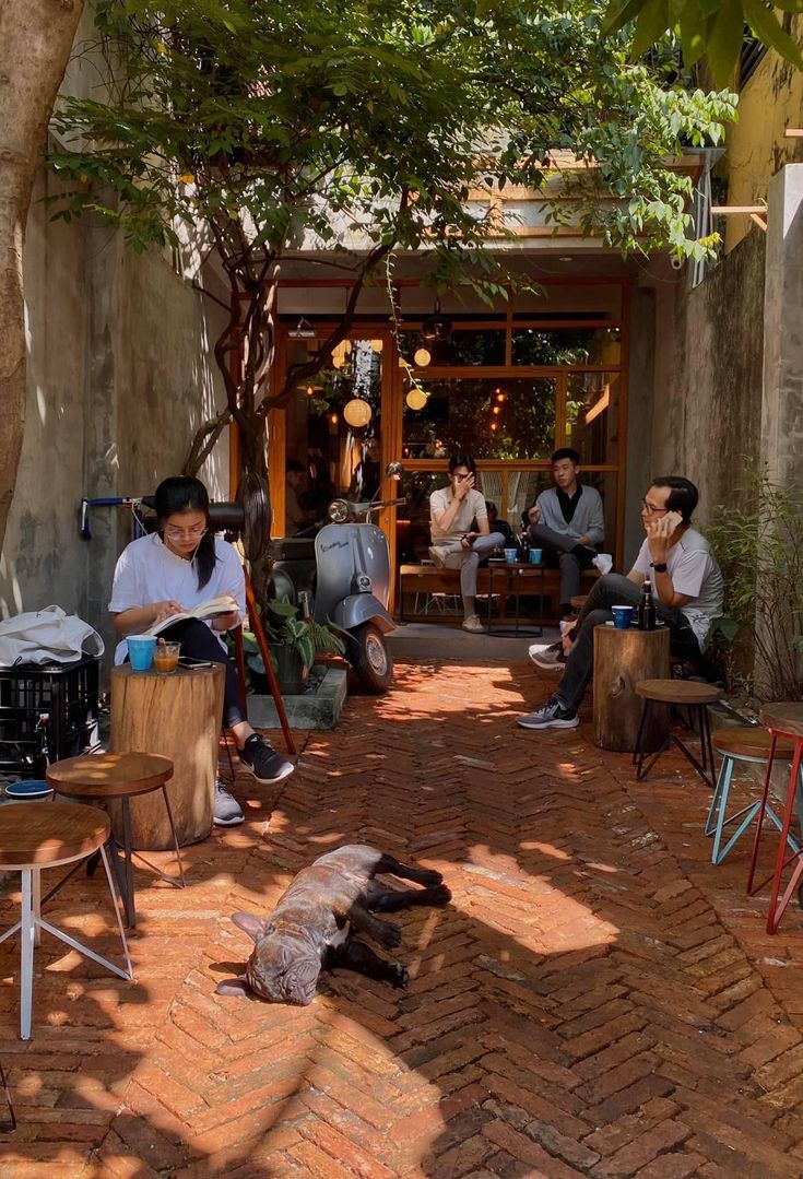 several people sitting on chairs in front of a building with an animal laying on the ground